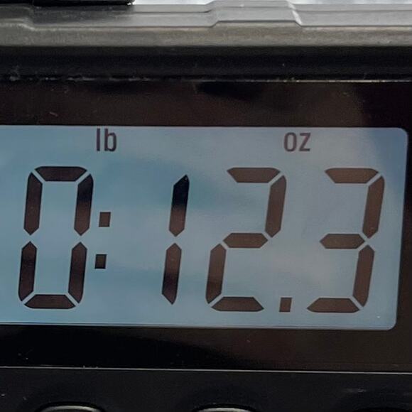 Walter Blouse Silk Satin Animal Size Medium V-neck Zipped down - Picture 9 of 10